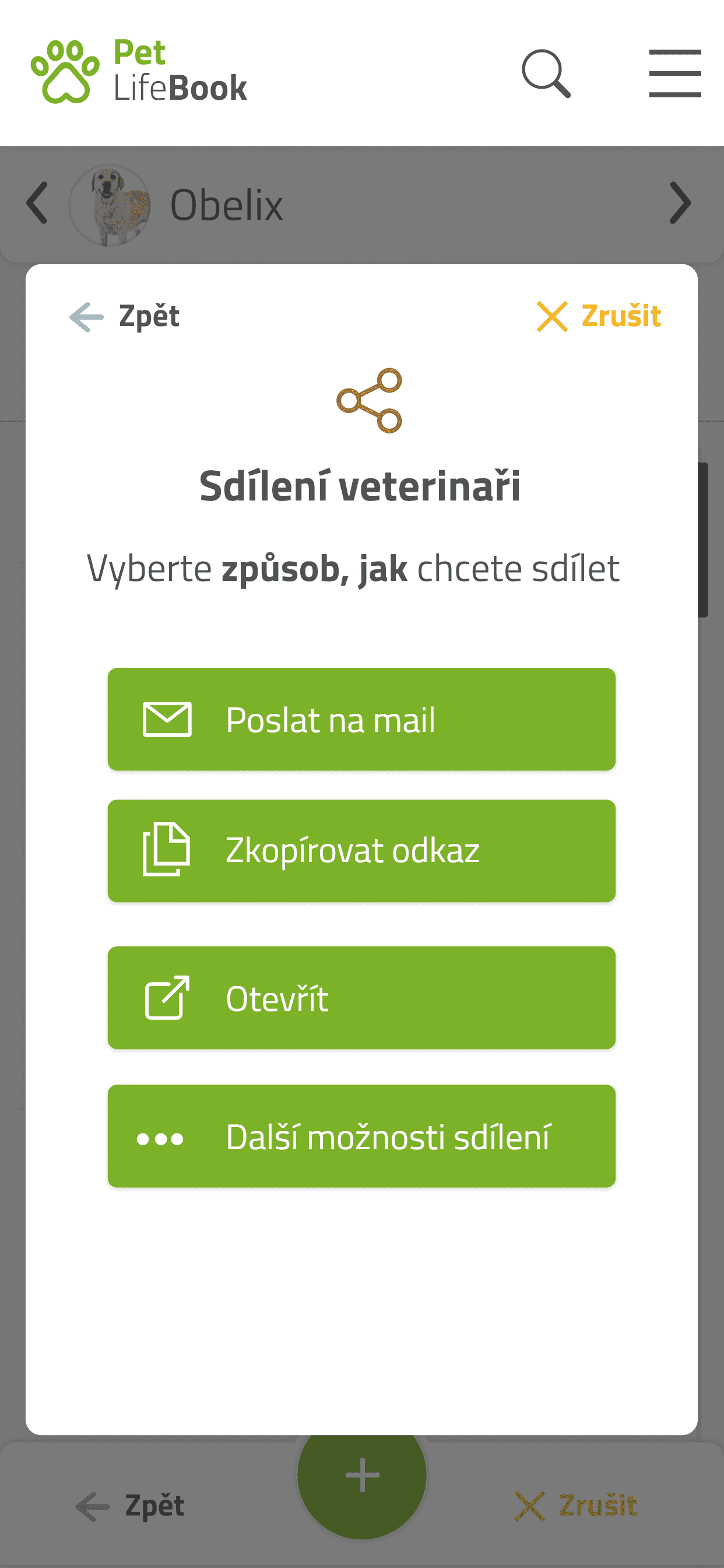 screen